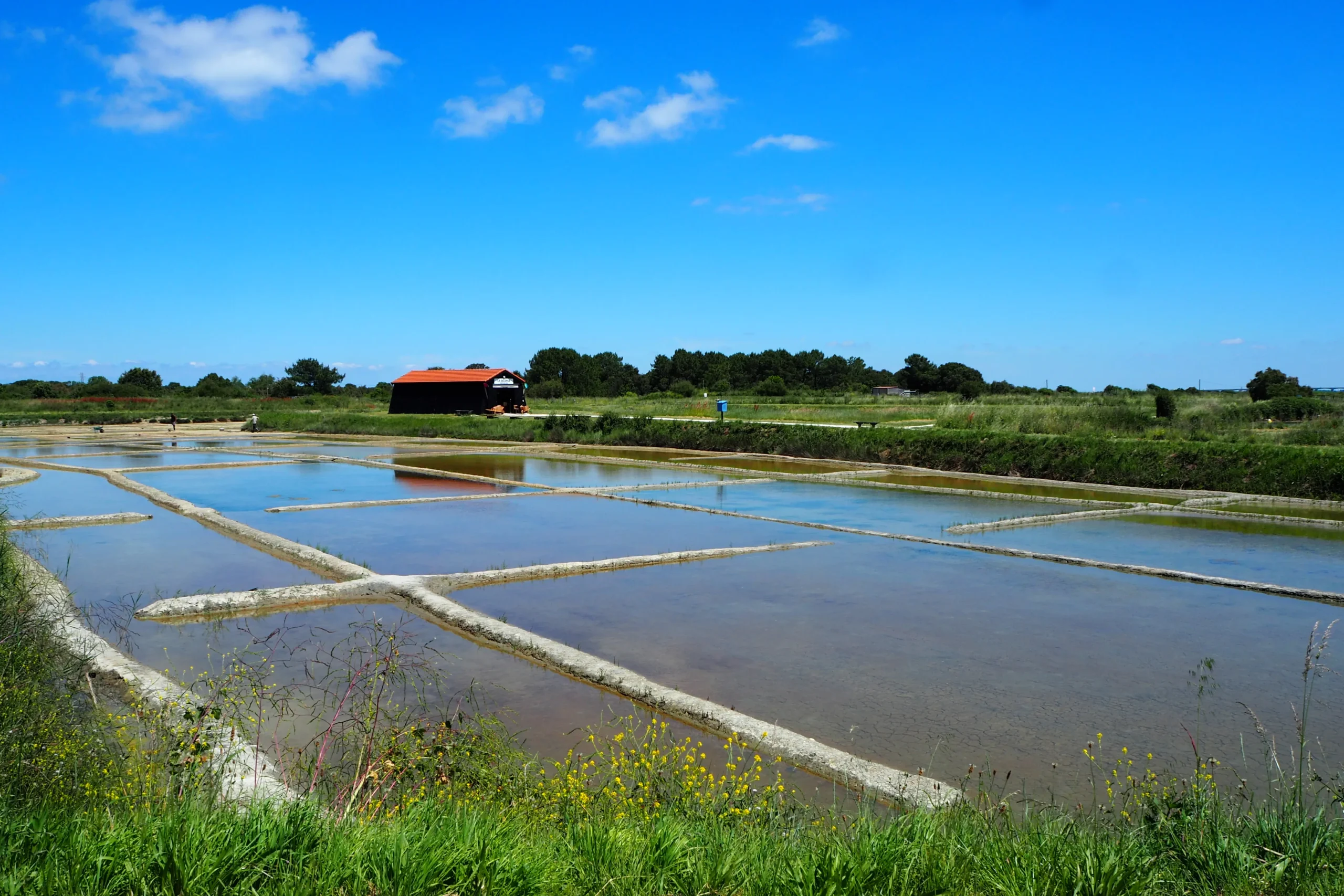 site ostreicole près du camping la sabia