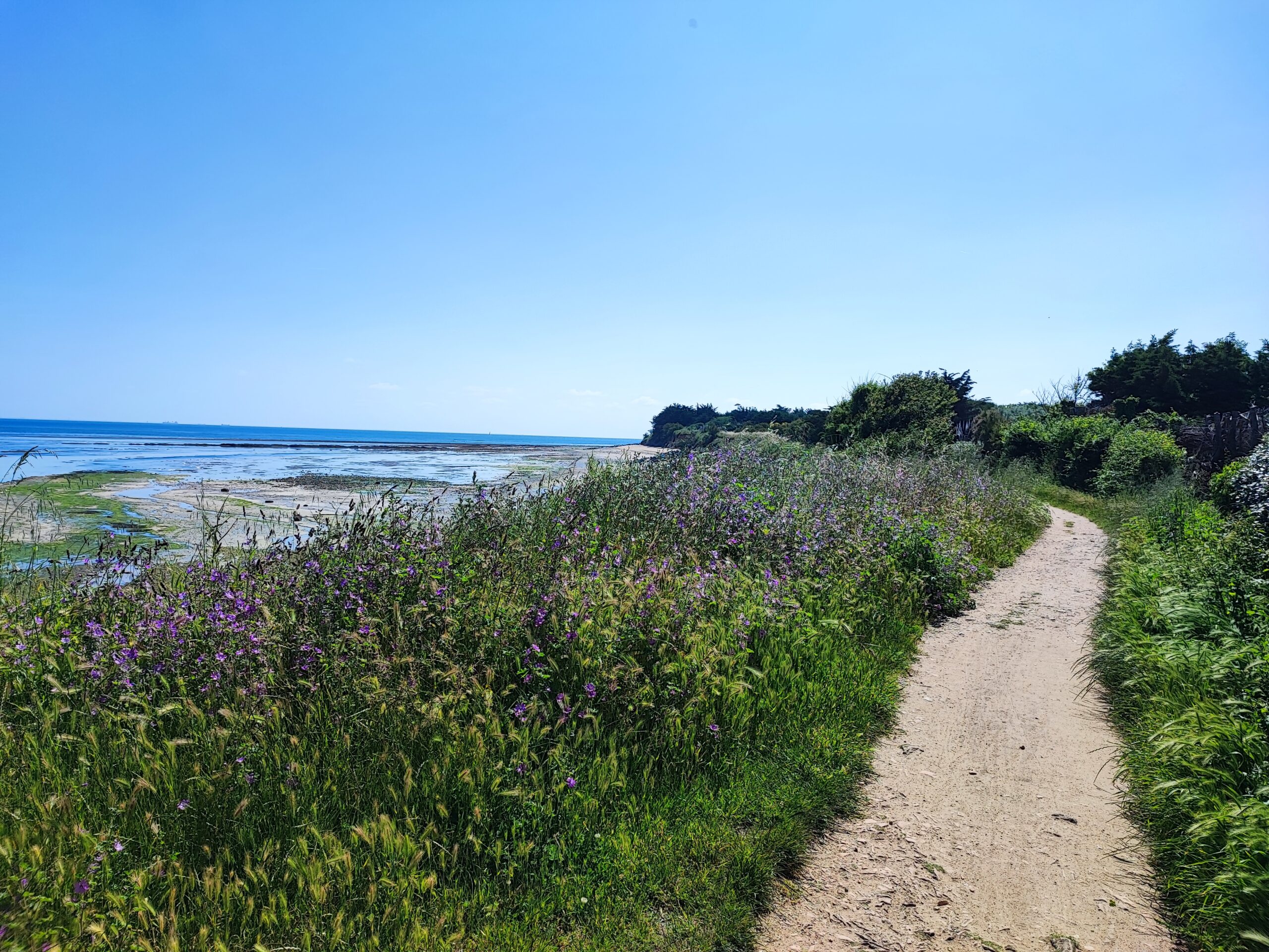 Chemin camping sabia