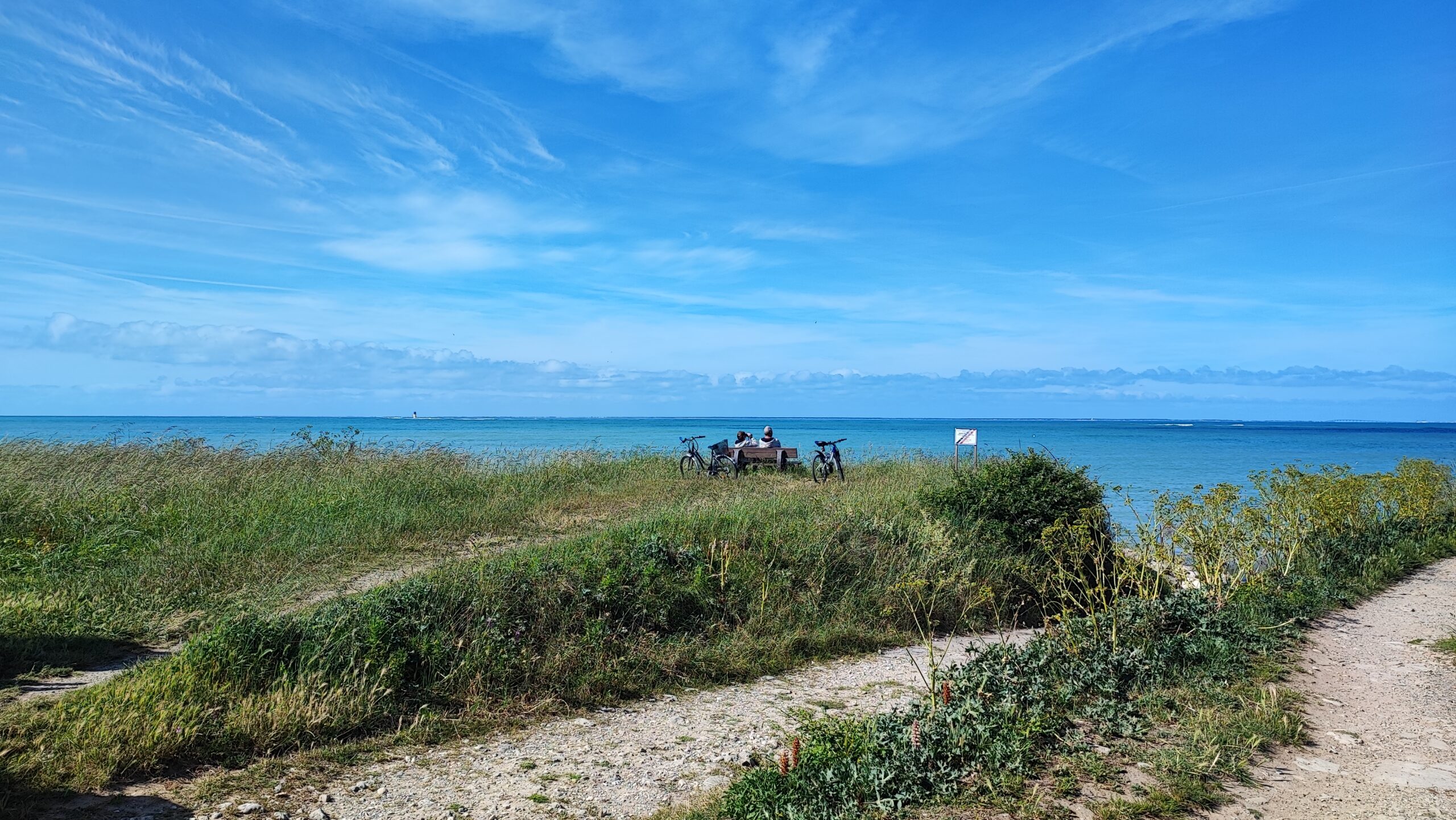 Sabia's feet in the water